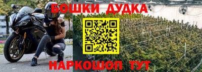 сатива Бузулук