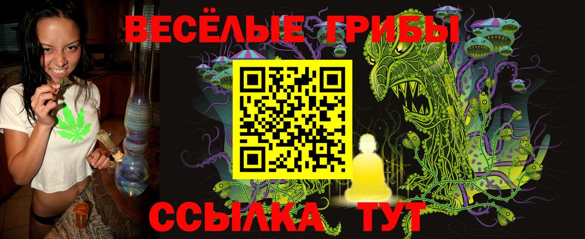 Псилоцибиновые грибы Cubensis Сланцы