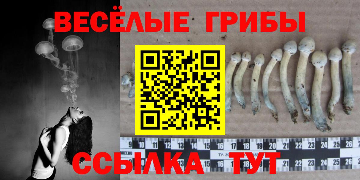 даркнет сайт  Галлюциногенные грибы GOLDEN TEACHER  Вход с VPN  Галлюциногенные грибы Psilocybine cubensis  Сланцы 